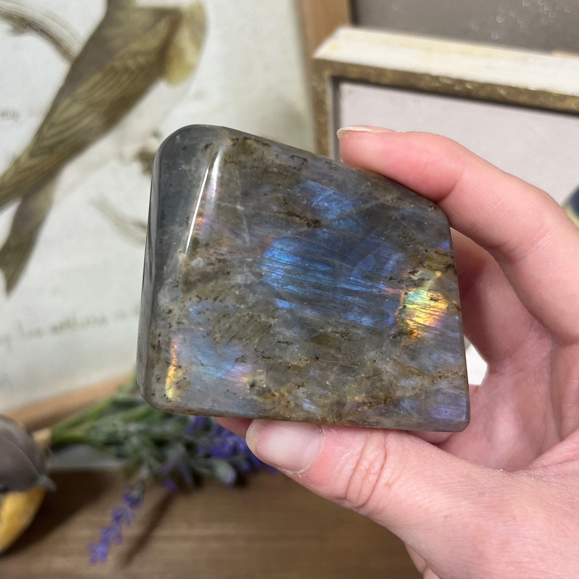 Light Blue Labradorite Freeform | Rainbow Lab Freeform