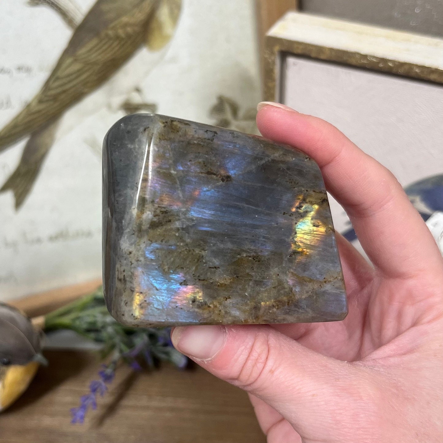 Light Blue Labradorite Freeform | Rainbow Lab Freeform