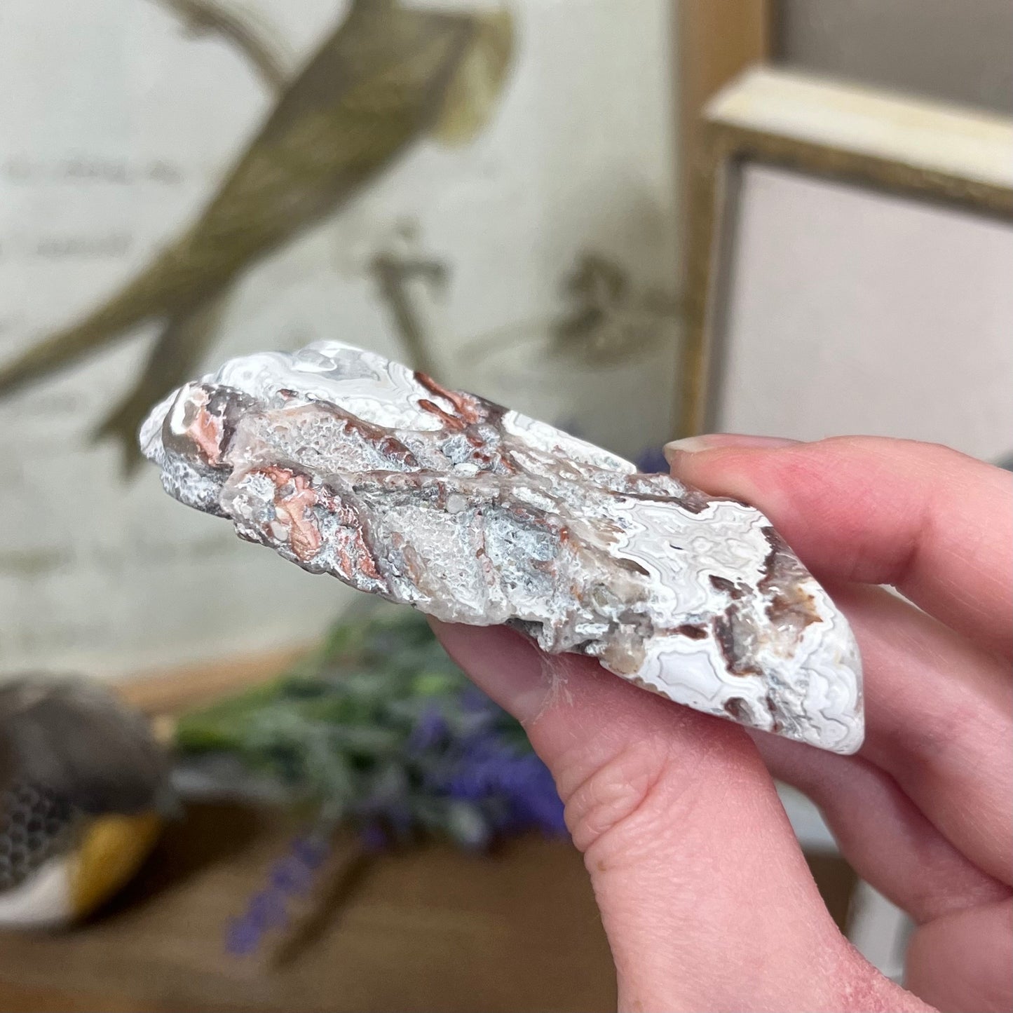 Mexican Lace Agate Slab