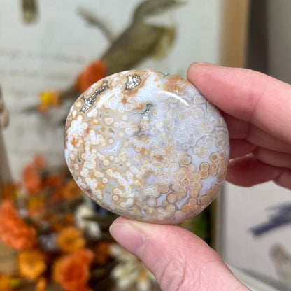 Veinless Ocean Jasper Palm Stone | Marovato OJ