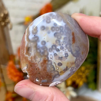 Pink Ocean Jasper Palm Stone | Druzy Ocean Jasper | Jelly Ocean Jasper Palm