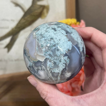 Unique Moss Agate Sphere | Druzy Moss Agate