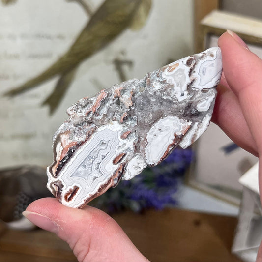 Mexican Lace Agate Slab