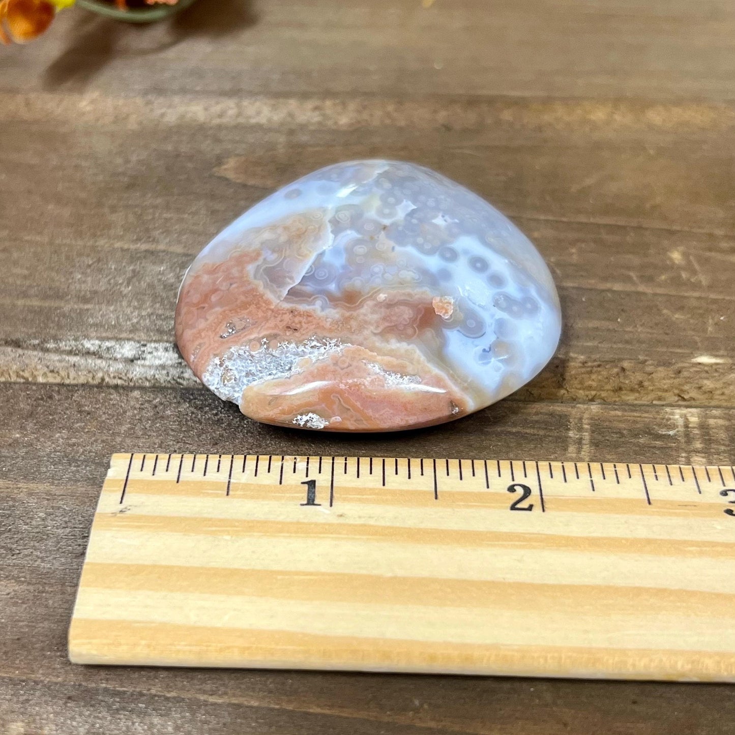 Pink Ocean Jasper Palm Stone | Druzy Ocean Jasper | Jelly Ocean Jasper Palm