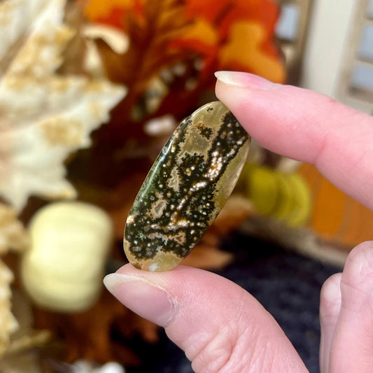 Seventh Vein Ocean Jasper Cab | Ocean Jasper Cabochon | 7th Vein