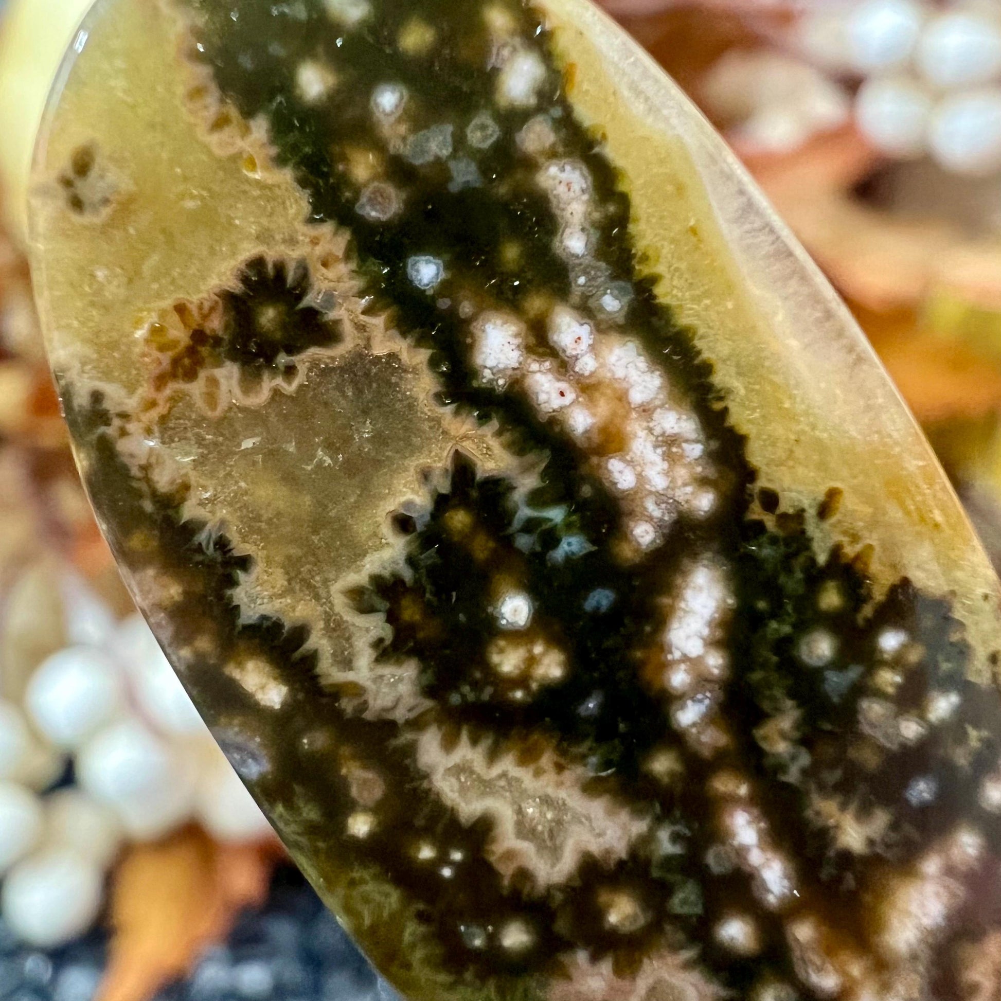 Seventh Vein Ocean Jasper Cab | Ocean Jasper Cabochon | 7th Vein