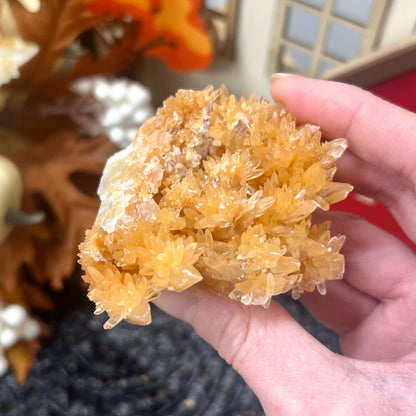 Dogtooth Calcite Specimen | Orange Dogtooth Calcite