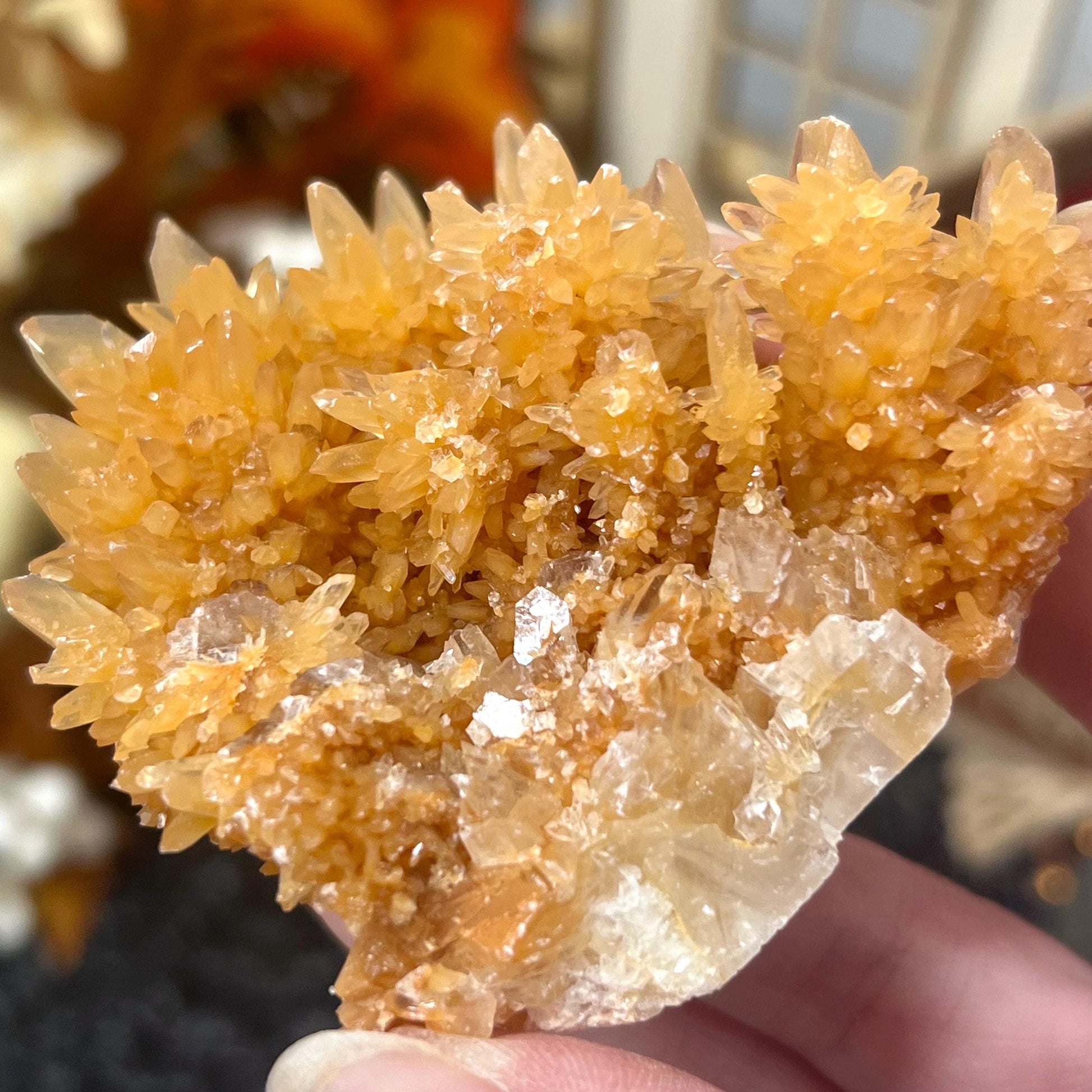 Dogtooth Calcite Specimen | Orange Dogtooth Calcite