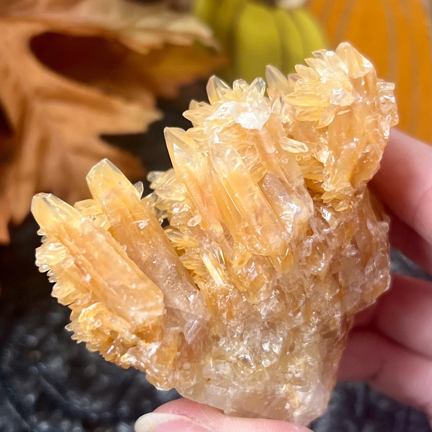 Dogtooth Calcite Specimen | Orange Dogtooth Calcite