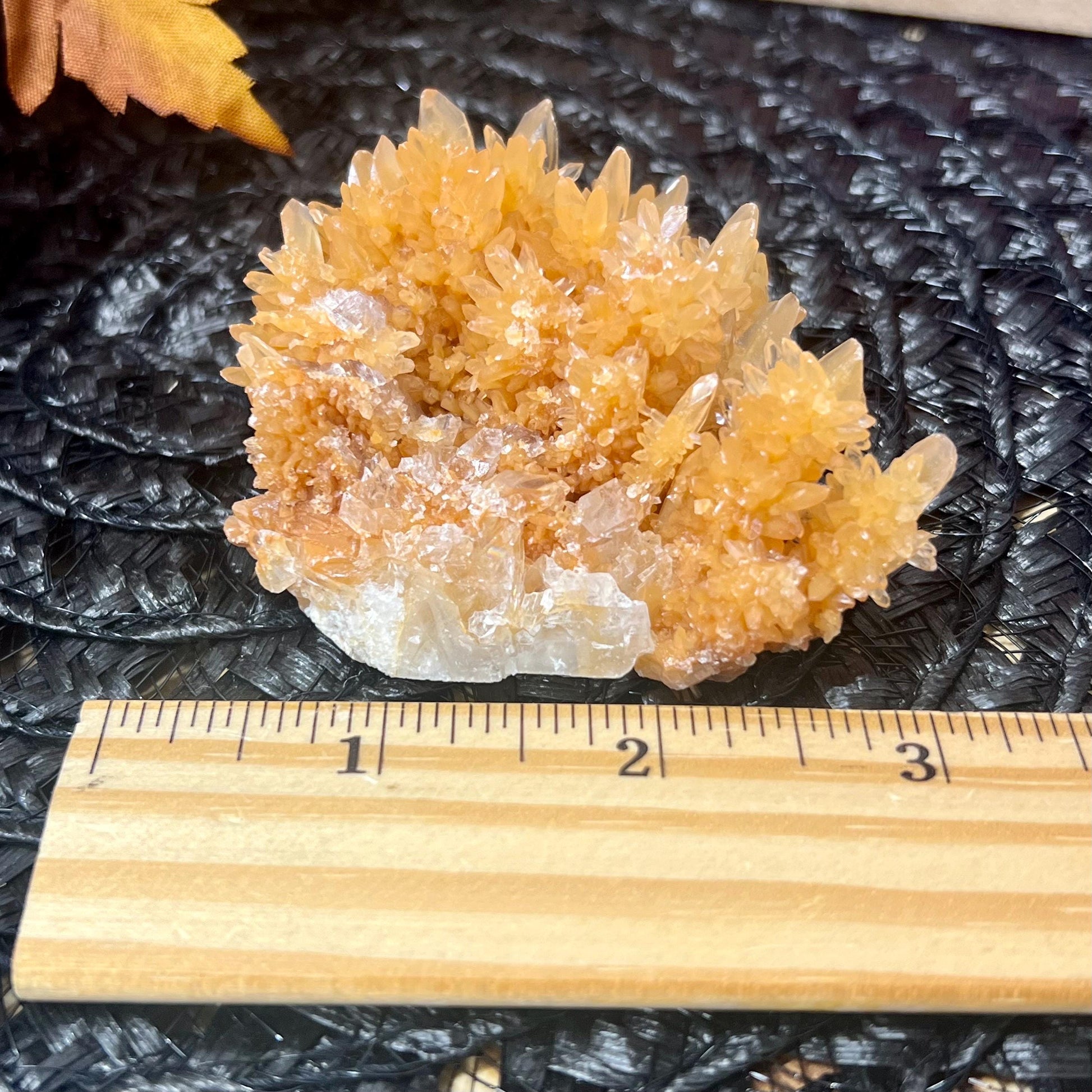 Dogtooth Calcite Specimen | Orange Dogtooth Calcite