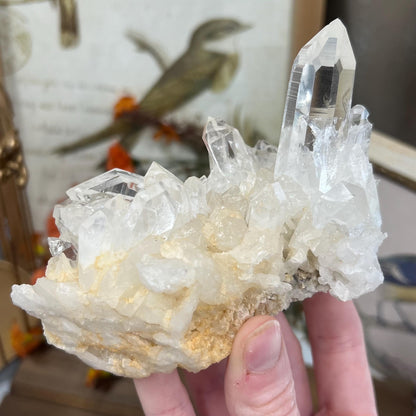 High Grade Lemurian Quartz Cluster from Colombia