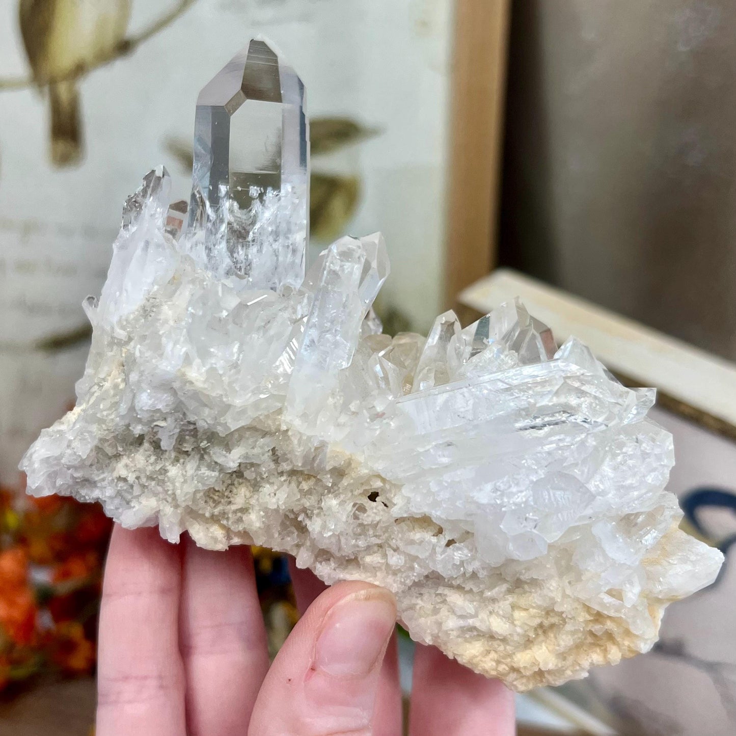 High Grade Lemurian Quartz Cluster from Colombia