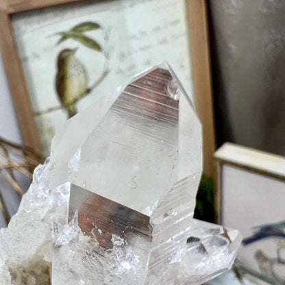 High Grade Lemurian Quartz Cluster from Colombia