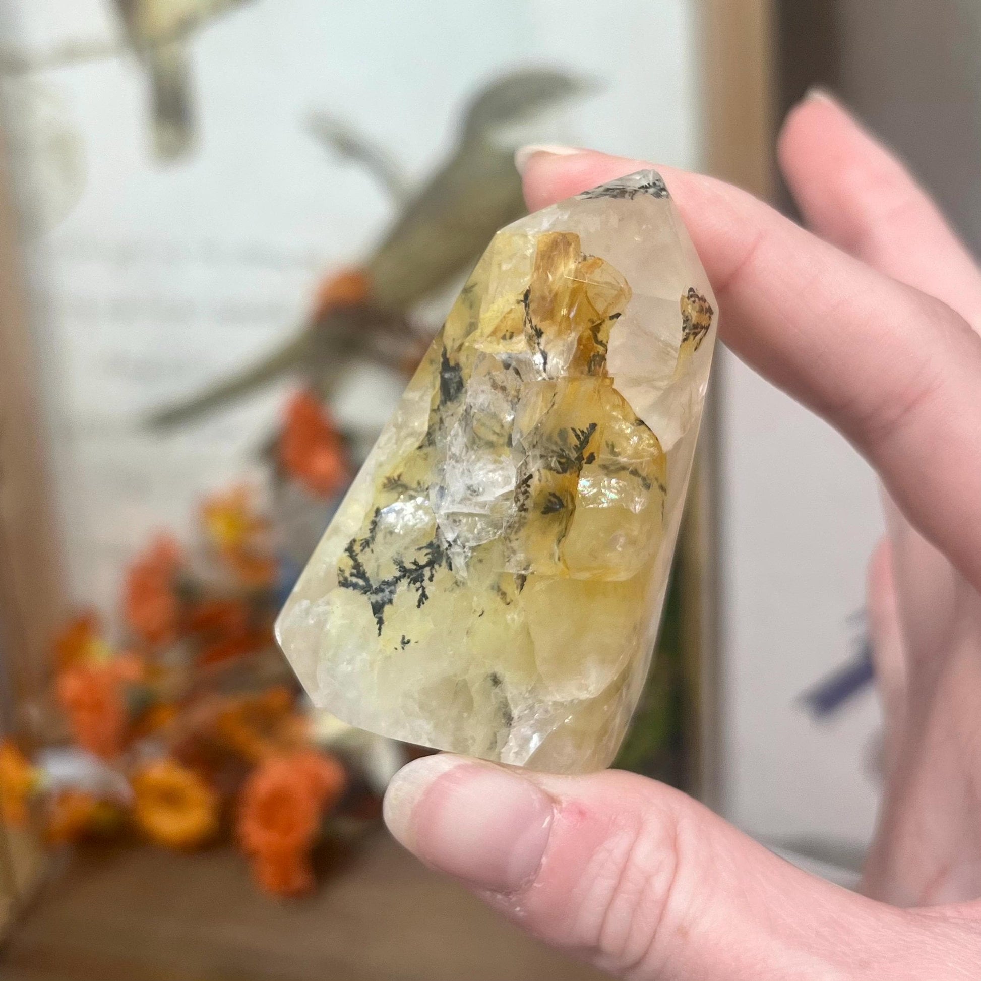 Dendritic Golden Healer | Yellow Hematoid Quartz | Dendritic Quartz