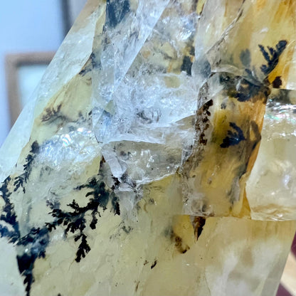 Dendritic Golden Healer | Yellow Hematoid Quartz | Dendritic Quartz