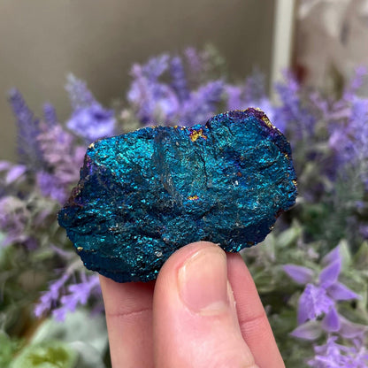 High Grade Chalcopyrite from Mexico