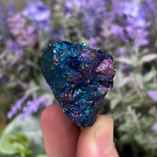 High Grade Chalcopyrite from Mexico