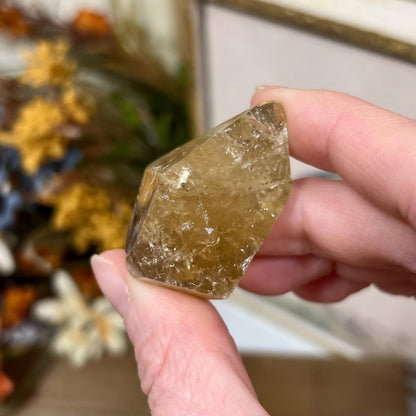 Small Citrine Freeform | Brazilian Citrine