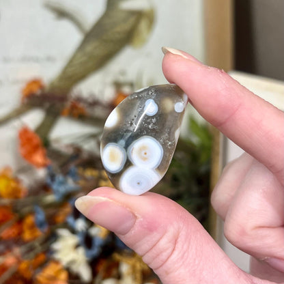 Ocean Jasper Cab | Ocean Jasper Cabochon