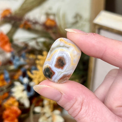 Old Stock Ocean Jasper Cab | Ocean Jasper Cabochon