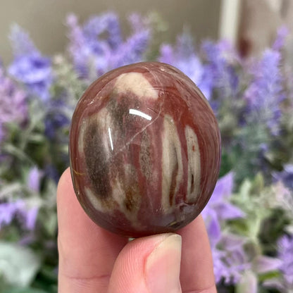 Red Petrified Wood Palm Stone | Madagascan Petrified Wood