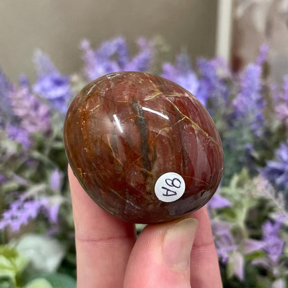 Red Petrified Wood Palm Stone | Madagascan Petrified Wood