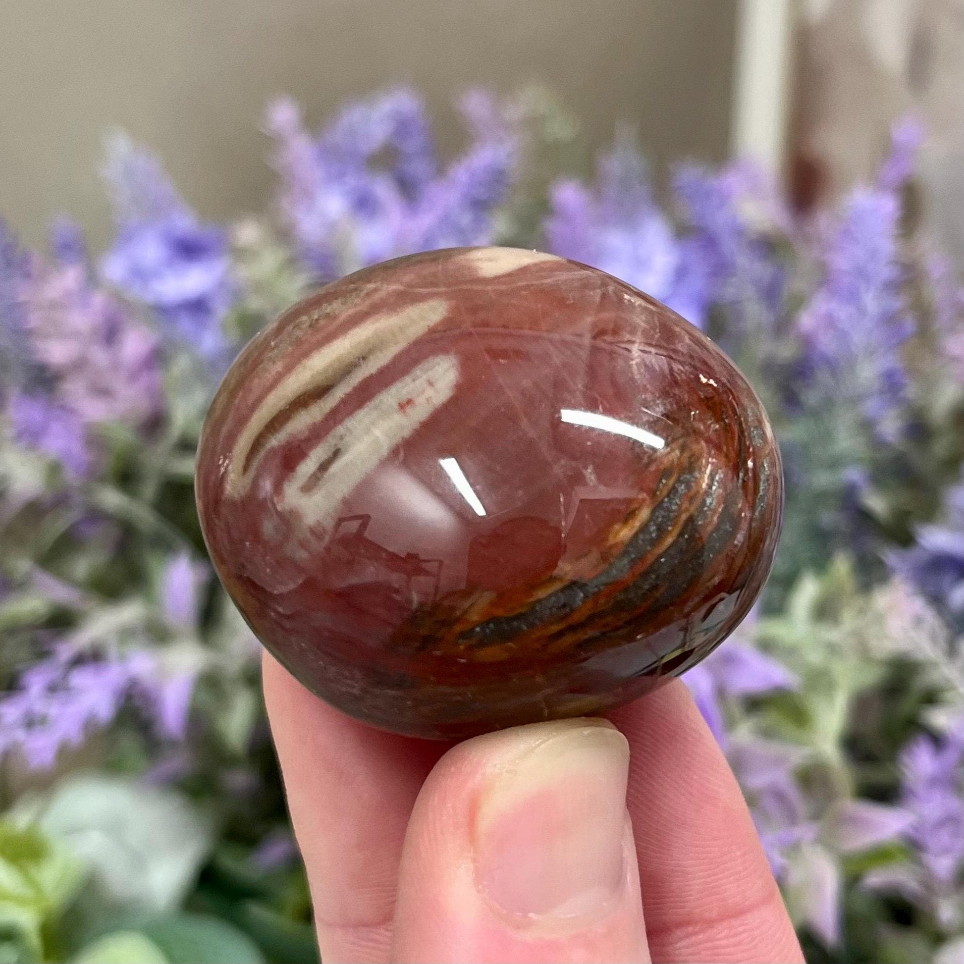 Red Petrified Wood Palm Stone | Madagascan Petrified Wood