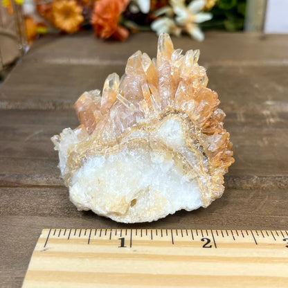 Dogtooth Calcite Specimen | Orange Dogtooth Calcite