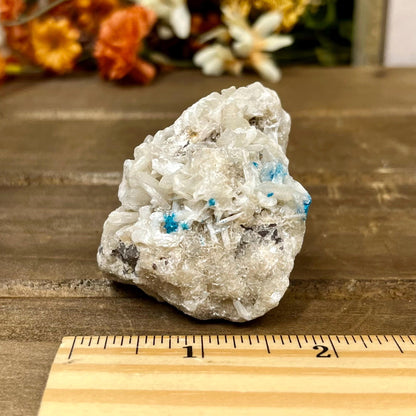 Cavansite on Stilbite | Raw Stilbite | Cavansite Specimen