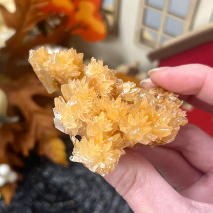 Dogtooth Calcite Specimen | Orange Dogtooth Calcite