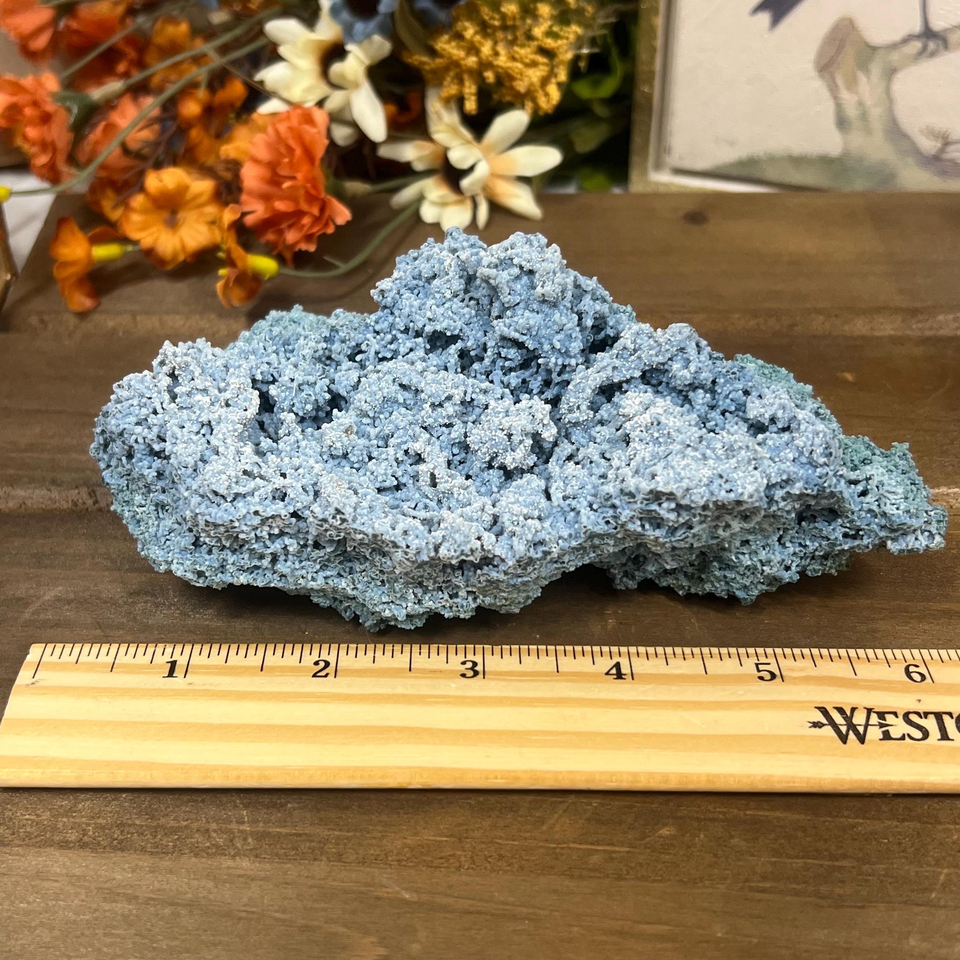 Blue Chalcedony with Okenite | Raw Chalcedony Specimen