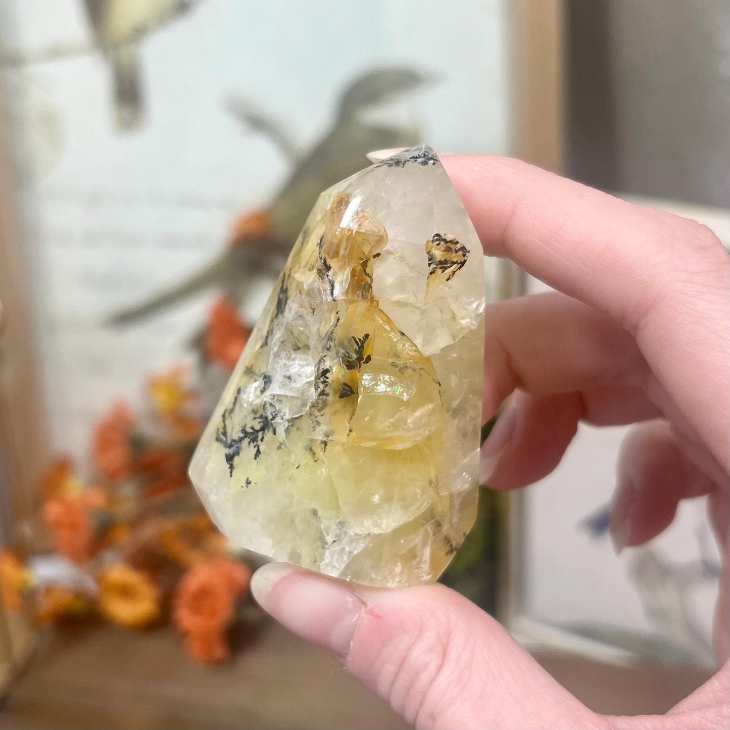 Dendritic Golden Healer | Yellow Hematoid Quartz | Dendritic Quartz