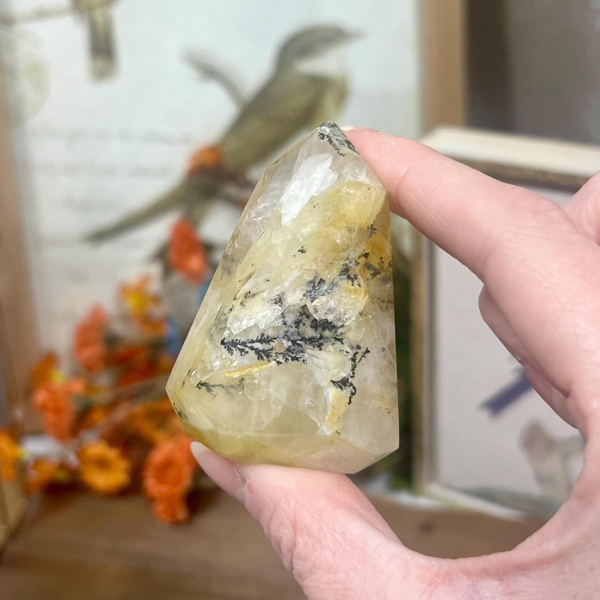 Dendritic Golden Healer | Yellow Hematoid Quartz | Dendritic Quartz