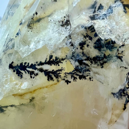 Dendritic Golden Healer | Yellow Hematoid Quartz | Dendritic Quartz