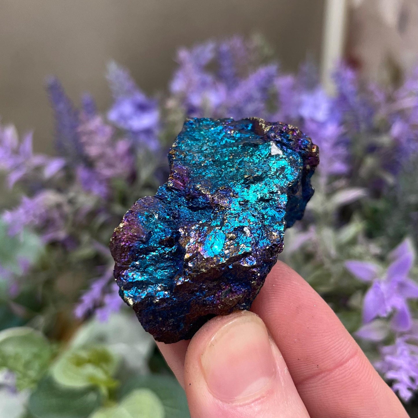 High Grade Chalcopyrite from Mexico