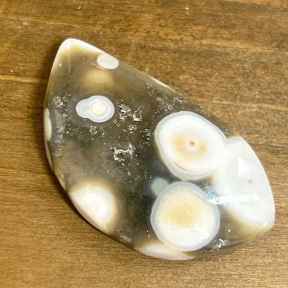 Ocean Jasper Cab | Ocean Jasper Cabochon