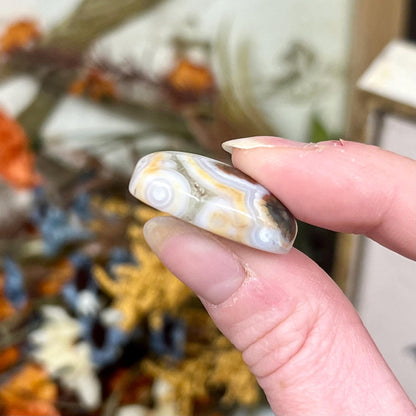 Old Stock Ocean Jasper Cab | Ocean Jasper Cabochon