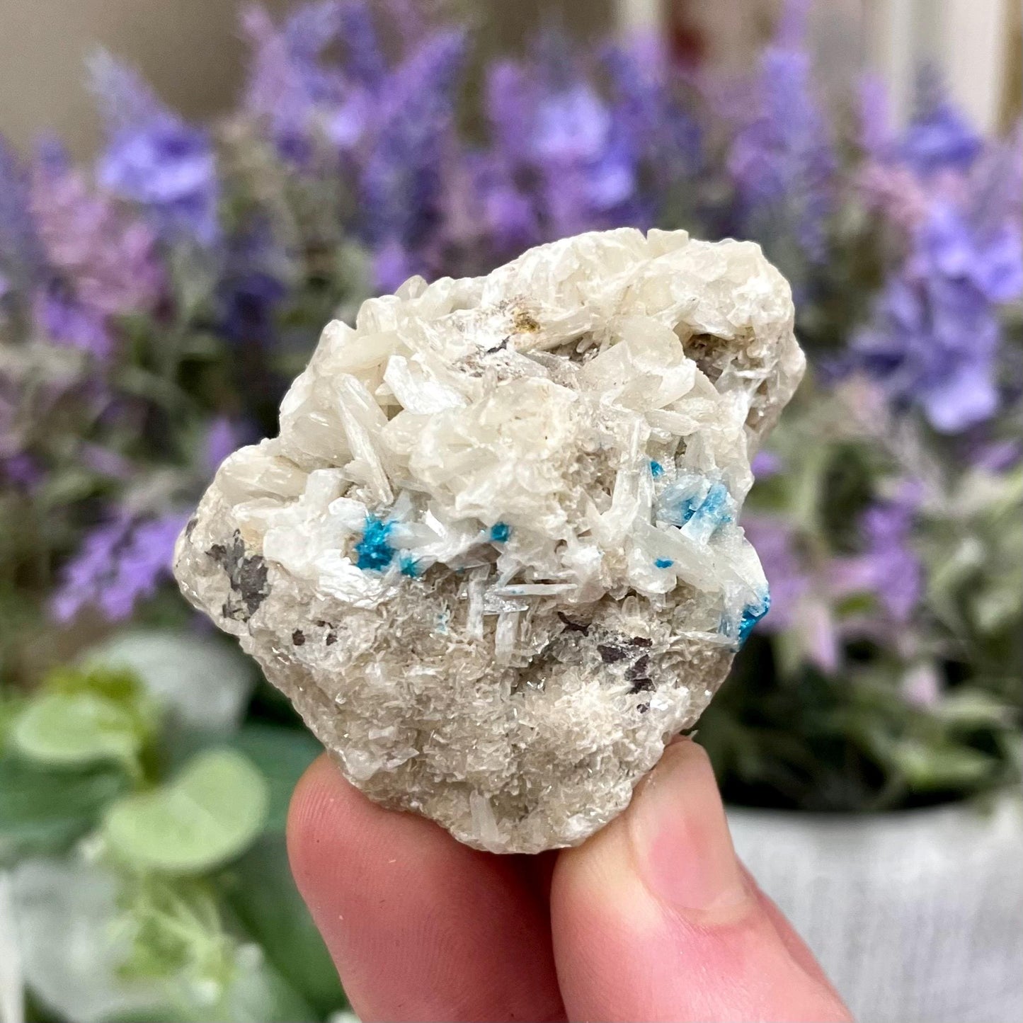 Cavansite on Stilbite | Raw Stilbite | Cavansite Specimen