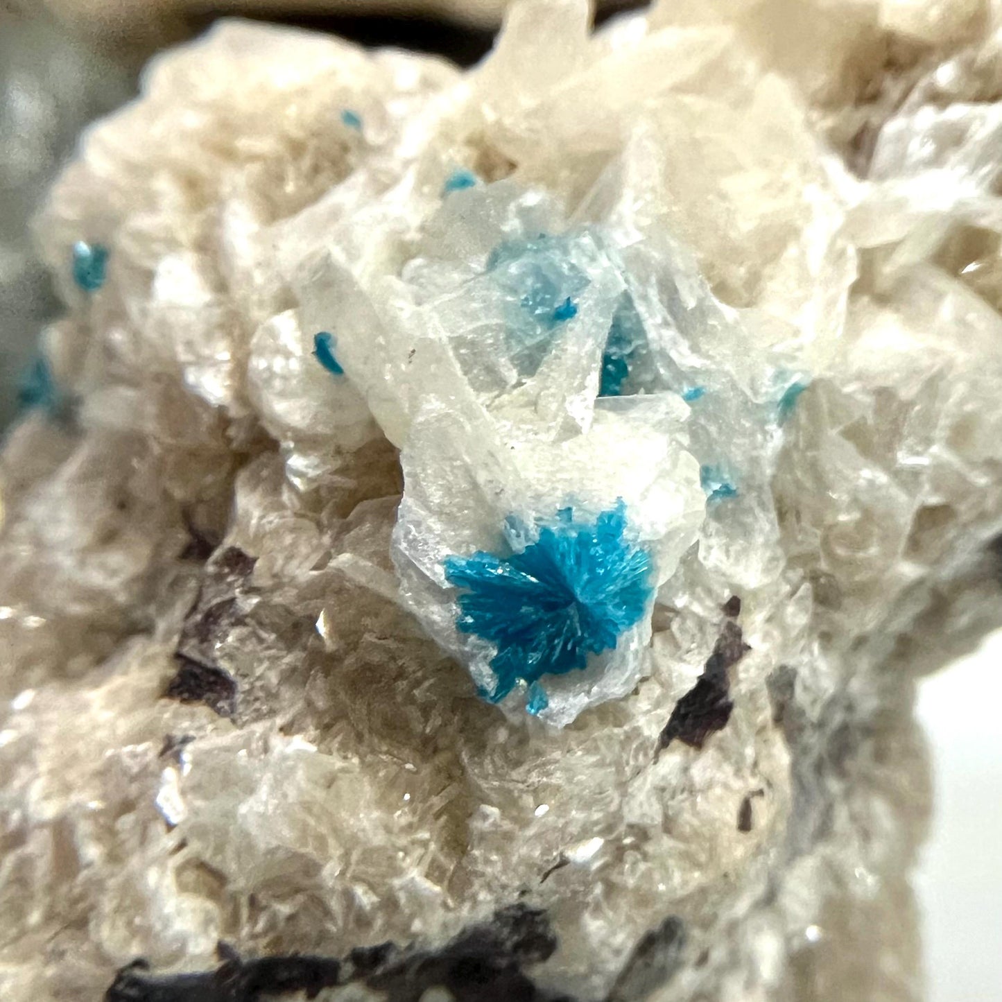 Cavansite on Stilbite | Raw Stilbite | Cavansite Specimen