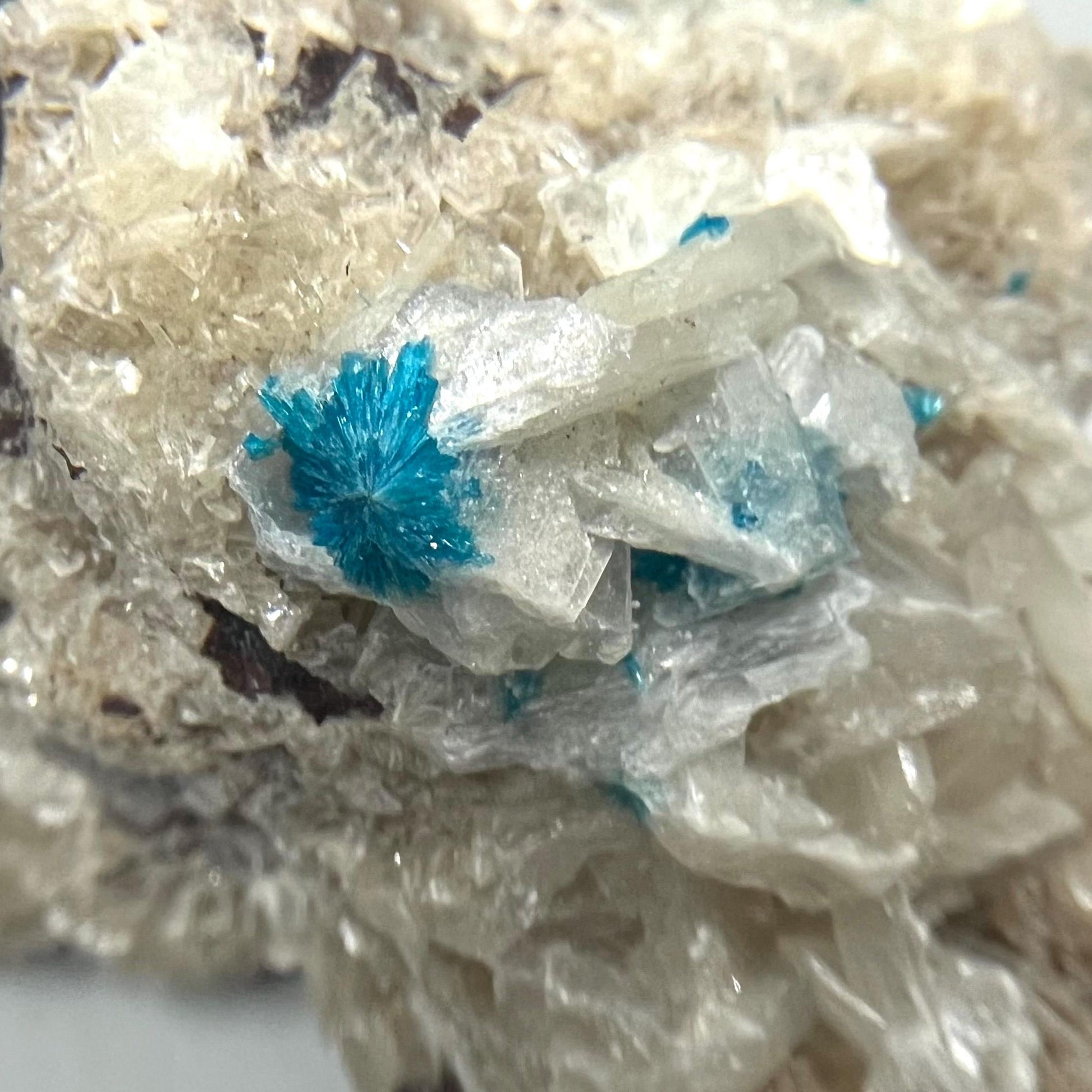 Cavansite on Stilbite | Raw Stilbite | Cavansite Specimen