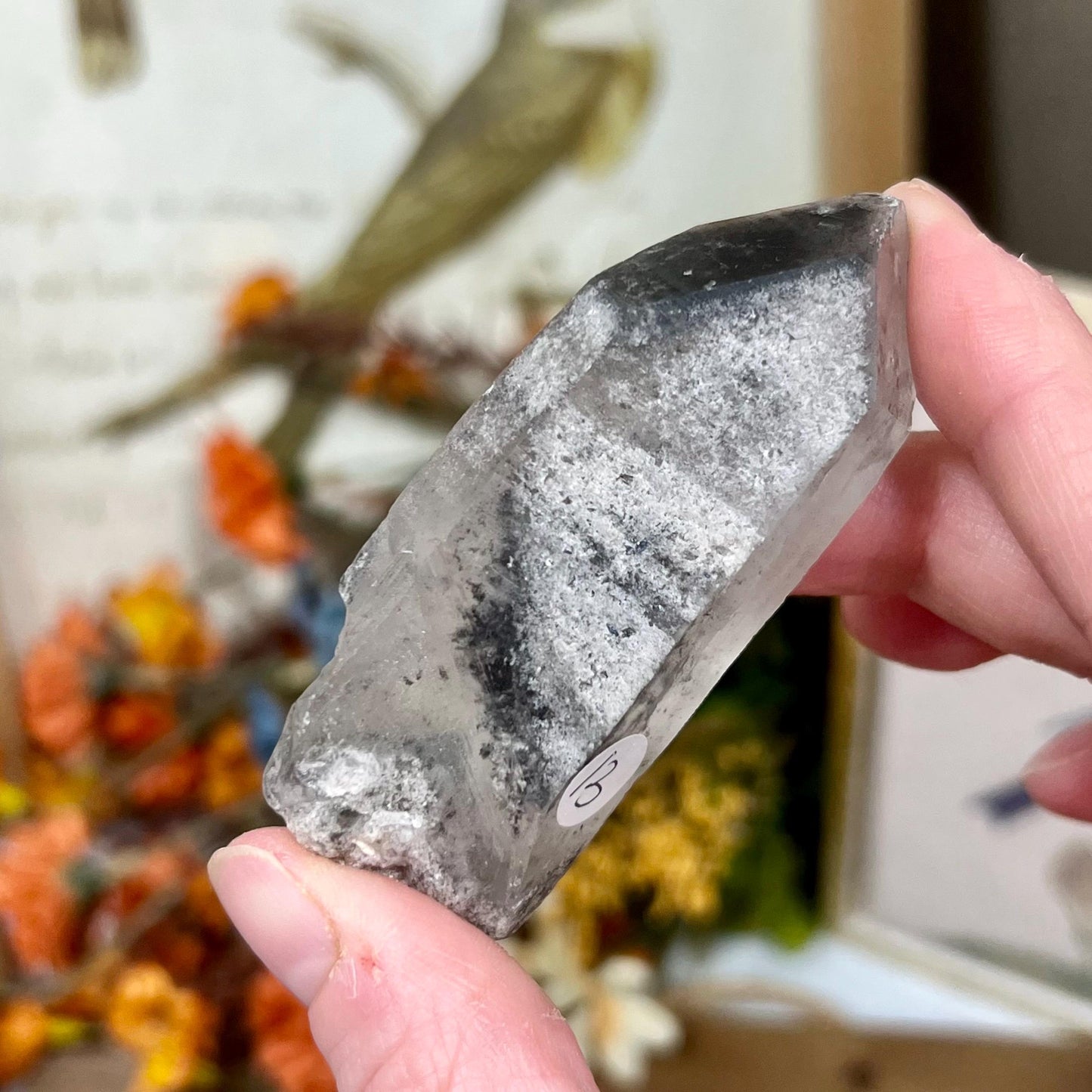 Raw Quartz Point with Black Lodolite and Rutile Incluions from Brazil