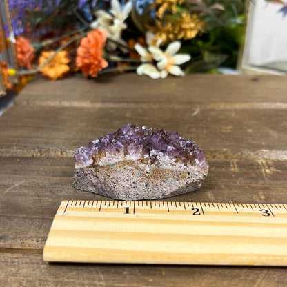 High Quality Alacam Amethyst Cluster from Turkey