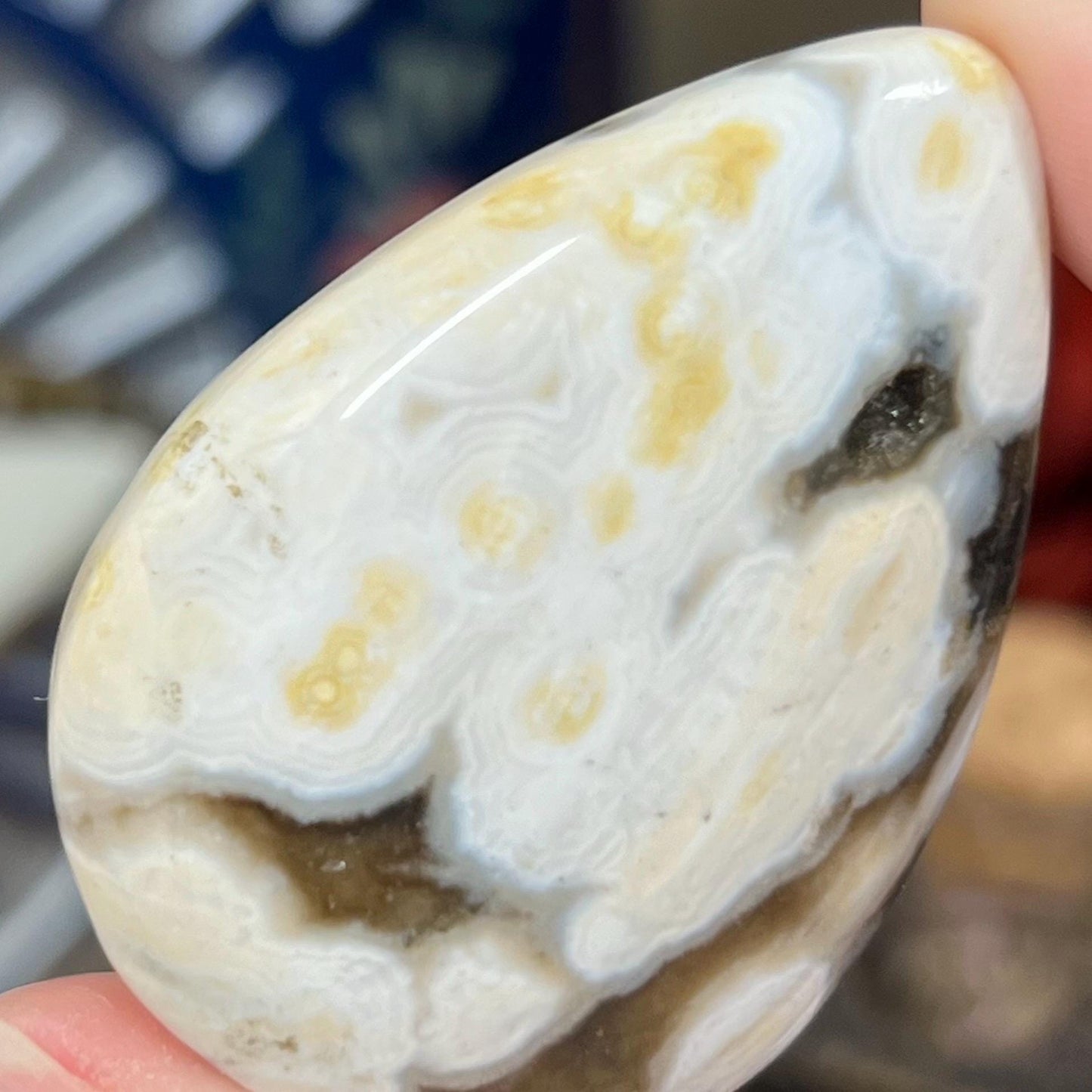 Large Ocean Jasper Cab | Ocean Jasper Cabochon