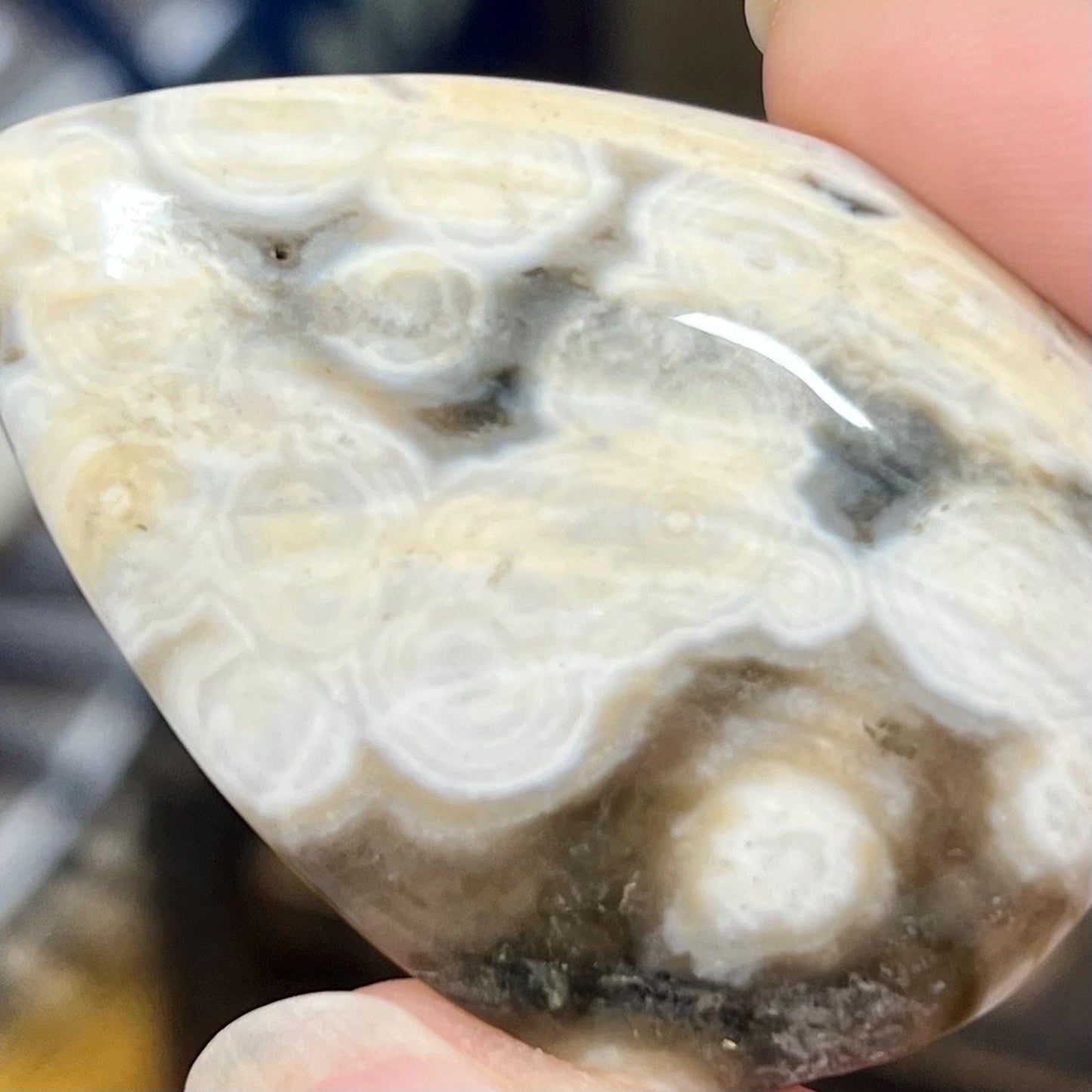 Large Ocean Jasper Cab | Ocean Jasper Cabochon