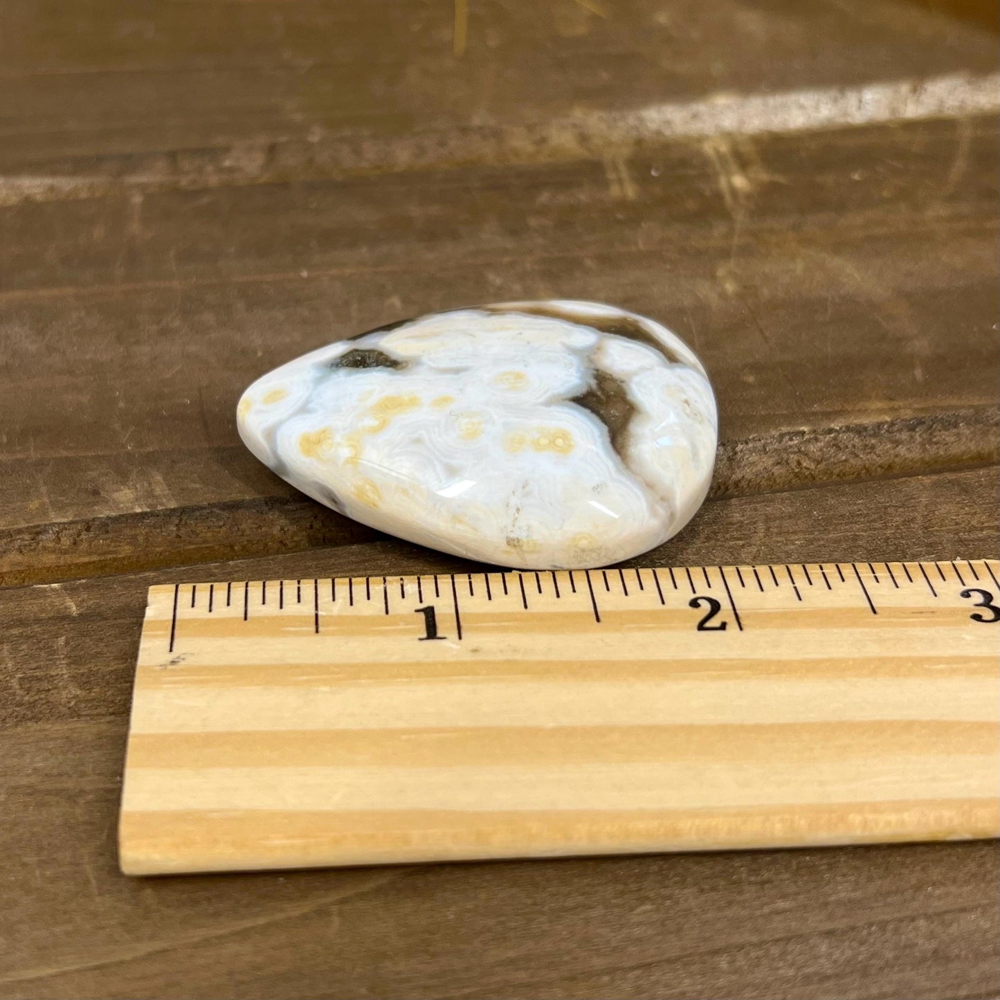 Large Ocean Jasper Cab | Ocean Jasper Cabochon