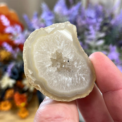 Small Druzy Geode | Polished Agate Geode with Quartz Druzy