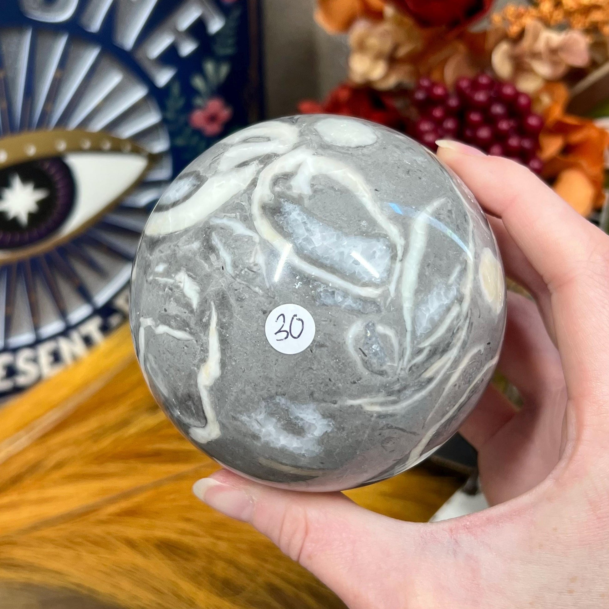 Large Shell Jasper Sphere | Thousand Eye Jasper