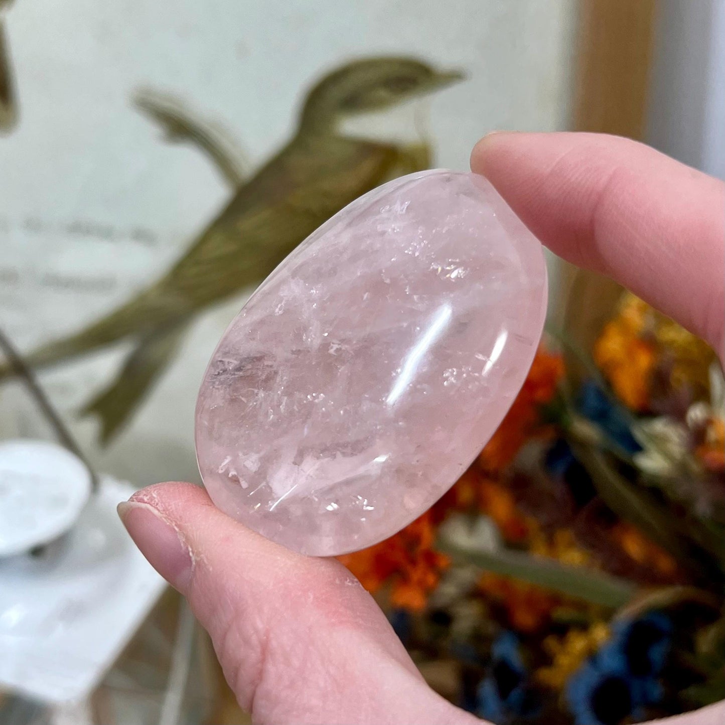 Small Gemmy Rose Quartz Palm | High Quality Rose Quartz