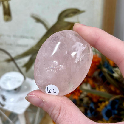 Small Gemmy Rose Quartz Palm | High Quality Rose Quartz