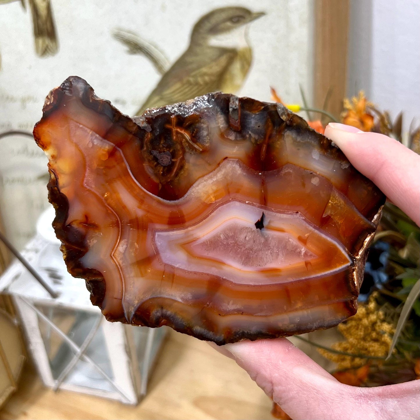 Carnelian Slab | Banded Agate | Carnelian Agate | Banded Carnelian